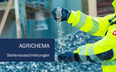 Die 8 Siloprobleme – Brückenbildung